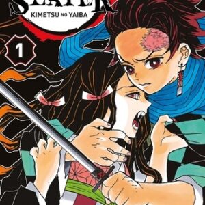 Tome 01 du manga demon slayer , nezuko et tanjiro sont présent