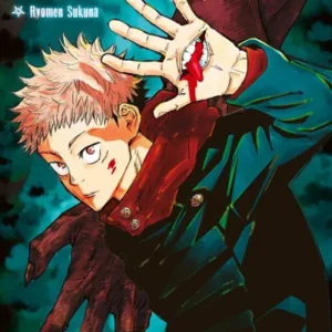 Tome 01 de jujutsu kaisen, Itadori le héro un adoslescent est sur la couverture